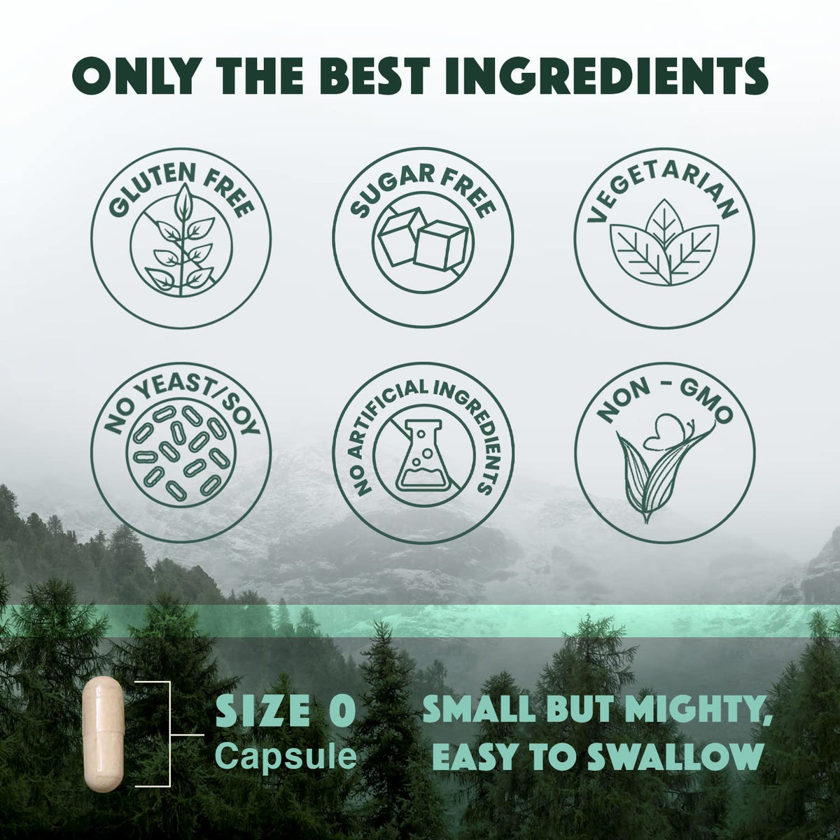 Natural Rhythm Triple Calm Magnesium Complex - 120 Capsules, Chelated Magnesium Glycinate, Taurate & Malate, High Absorption Supplement for Sleep, Stress, Muscle & Heart Support, Non-GMO, Vegan - Maple Wellness Supplements