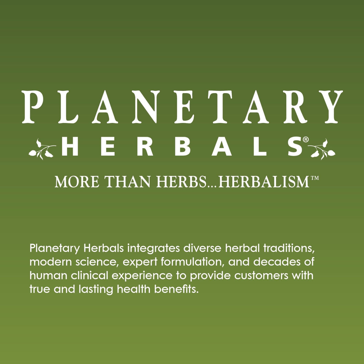 Planetary Herbals Willow Aid Tablets, 60 Count - Maple Wellness Supplements