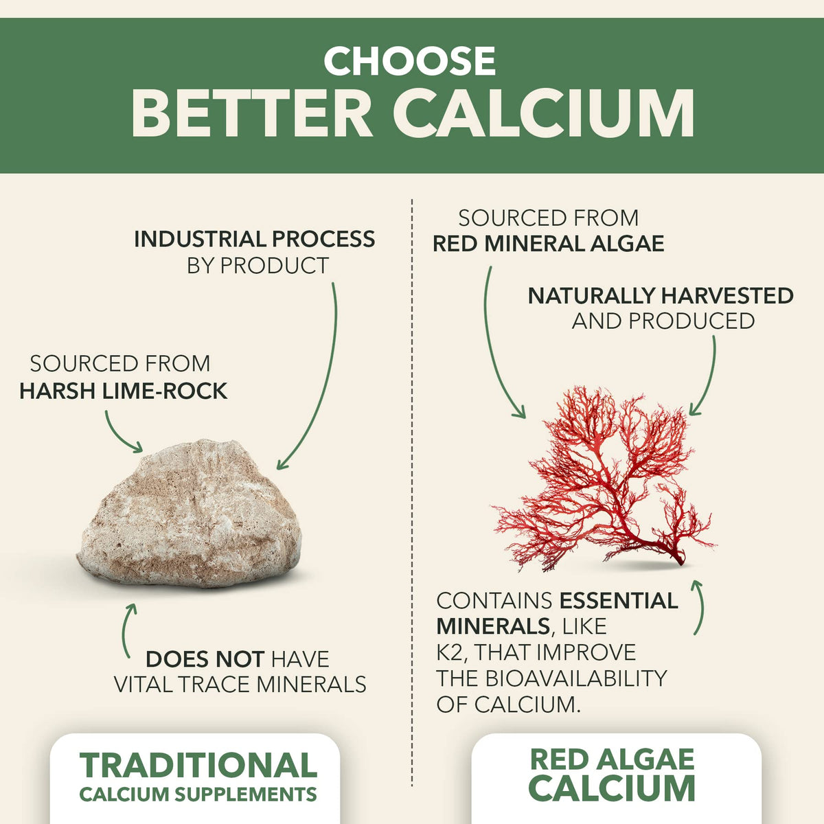 PlantFusion Vegan Calcium, Premium Plant Based Calcium (1000mg) Sourced from Icelandic Red Algae, Plus Magnesium, D3, K2 - Maple Wellness Supplements