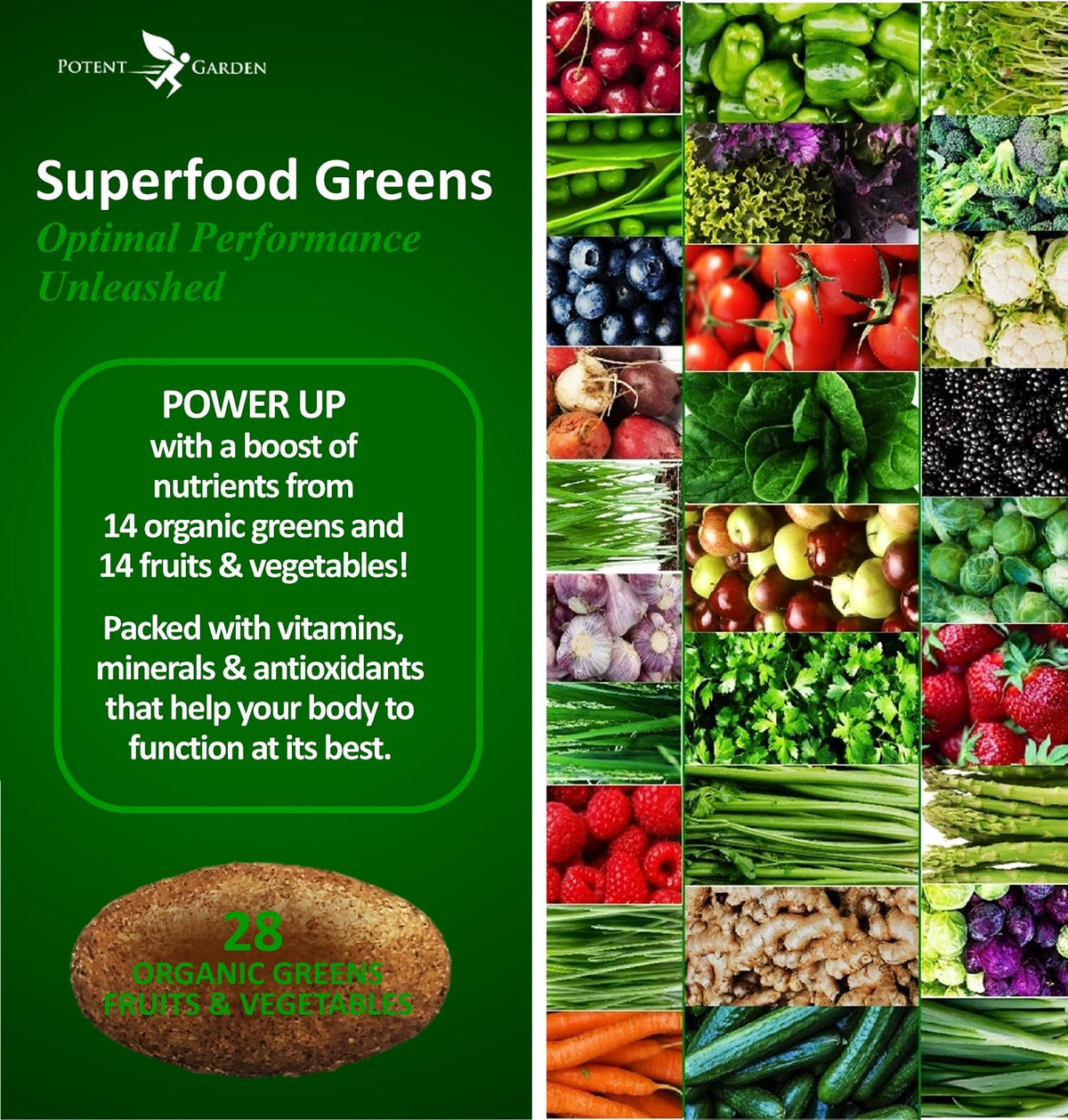 Potent Garden Daily Nutrition Bundle – Superfood Greens + Multivitamin - Maple Wellness Supplements